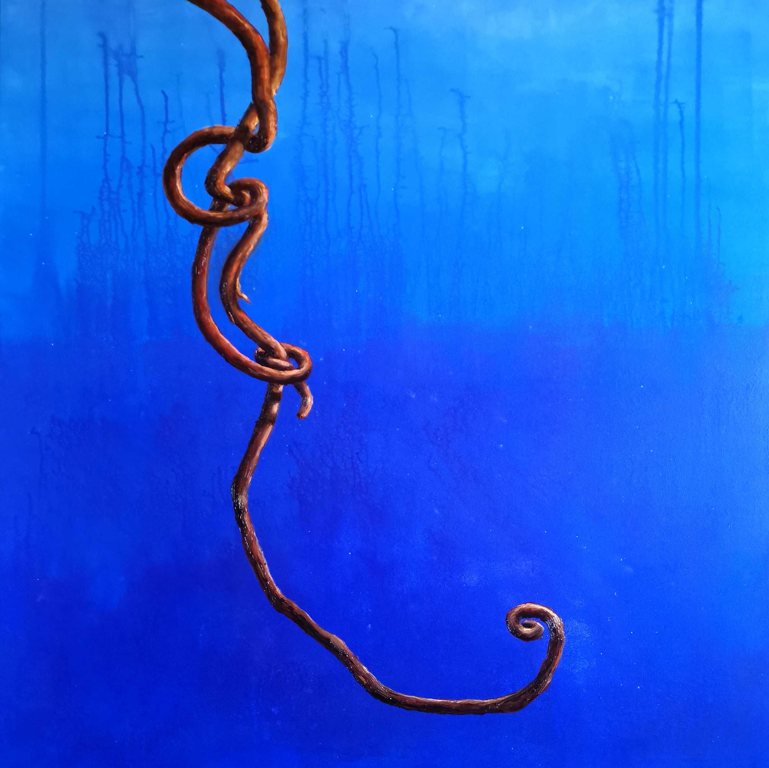 Spira Mirabilis